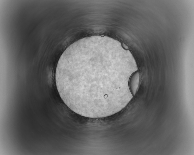 X0000093520866200711091738