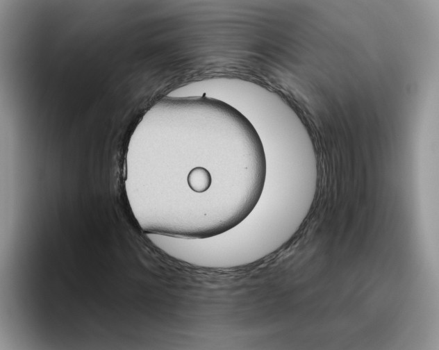 X0000093520868200711091738