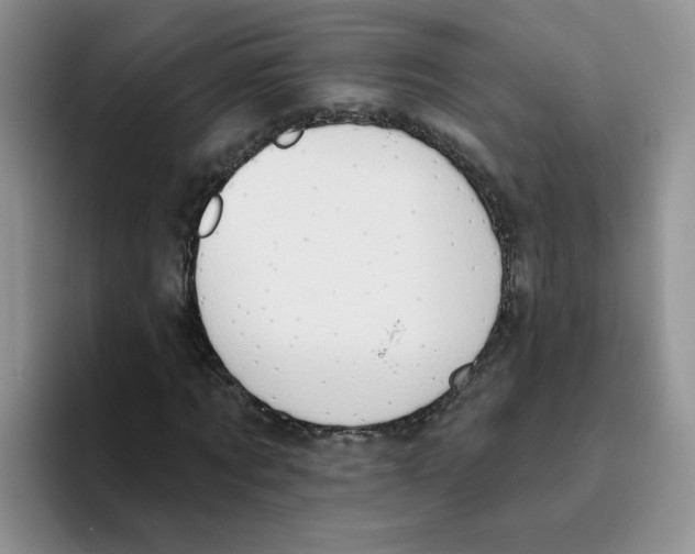 X0000093520869200711091738