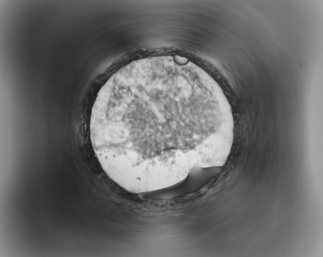 X0000093520871200711091737