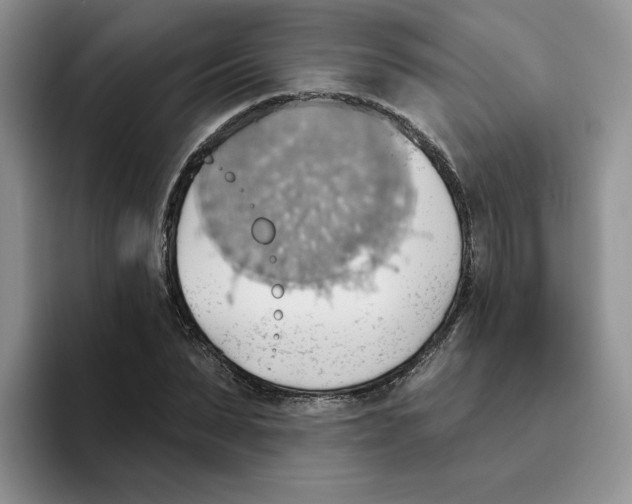 X0000093520879200711091737