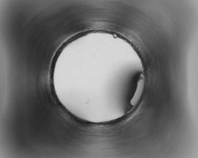 X0000093520880200711091737