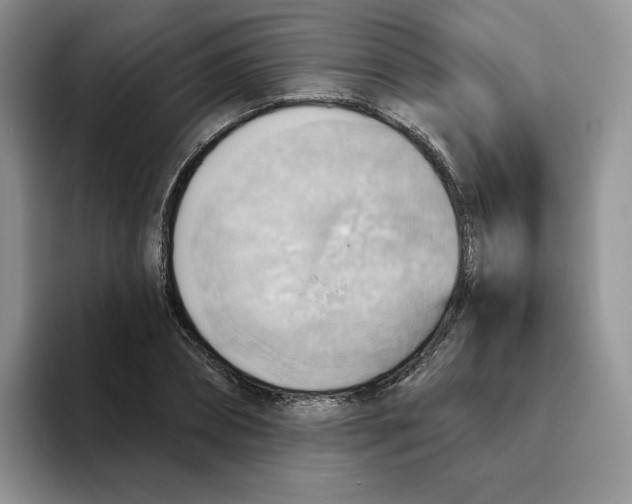 X0000093520882200711091737