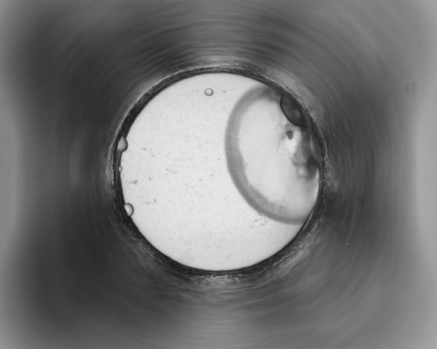 X0000093520883200711091737