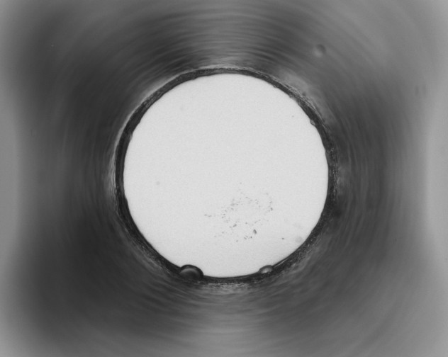 X0000093520884200711091737