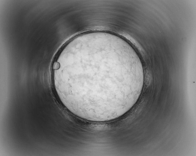 X0000093520886200711091737