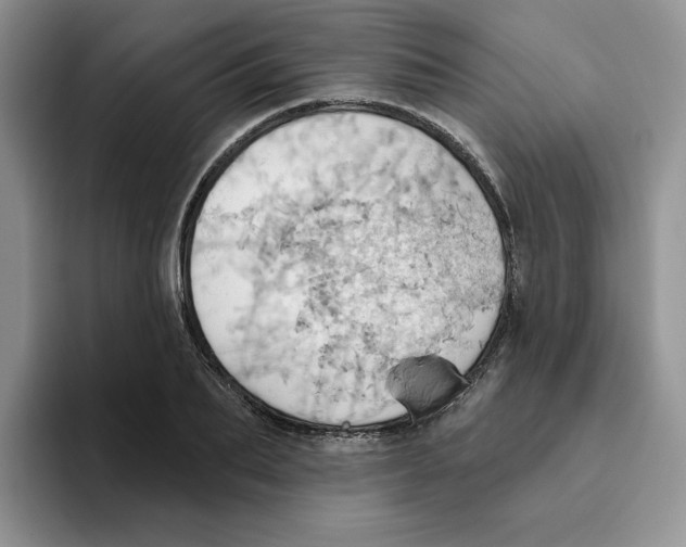 X0000093520887200711091737