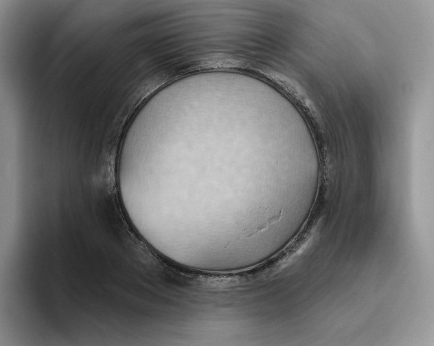 X0000093520889200711091737