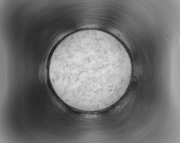 X0000093520890200711091737