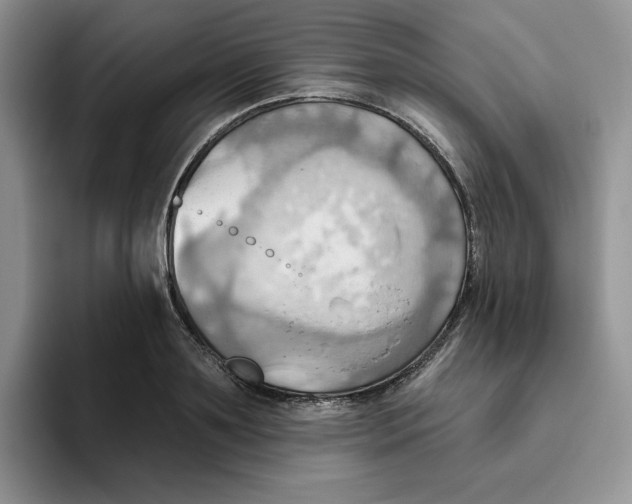 X0000093520891200711091737