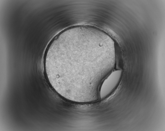 X0000093520892200711091737