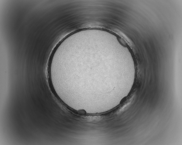 X0000093520893200711091737