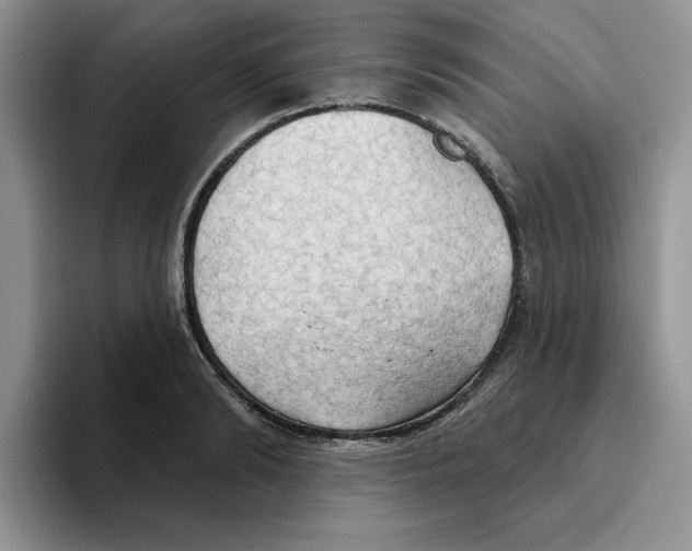 X0000093520894200711091737