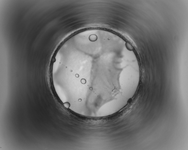 X0000093520895200711091737