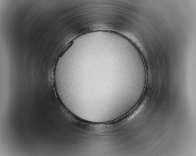 X0000093520897200711091737