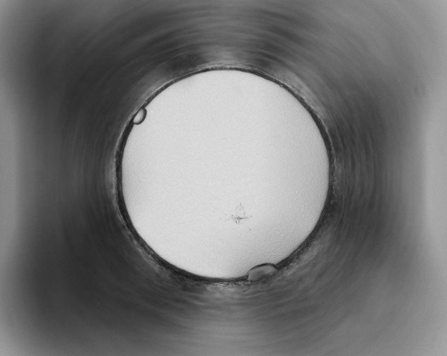 X0000093520898200711091737