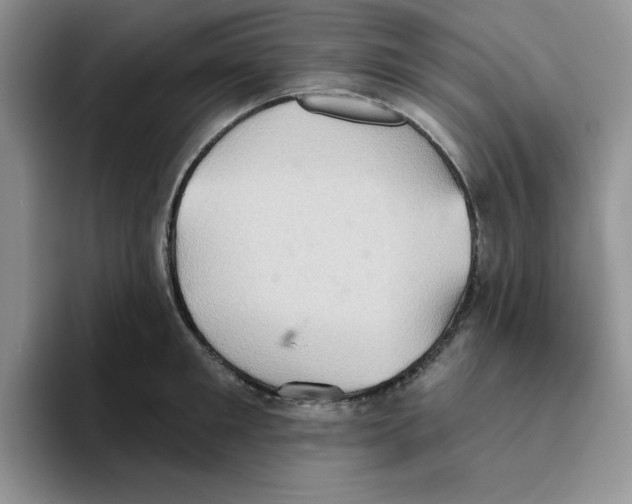 X0000093520901200711091737