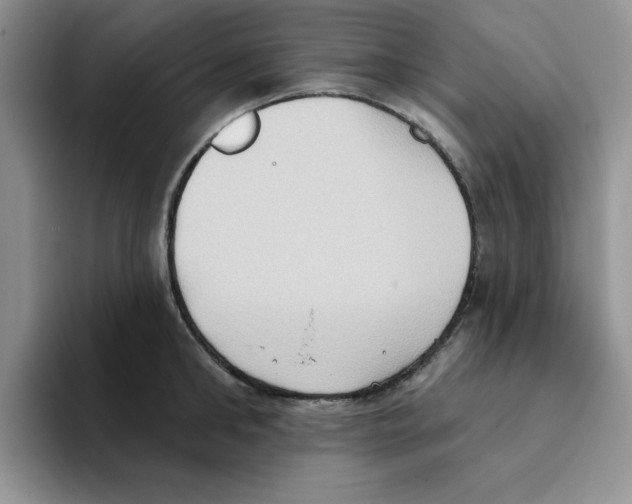 X0000093520902200711091737