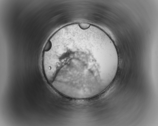 X0000093520903200711091737