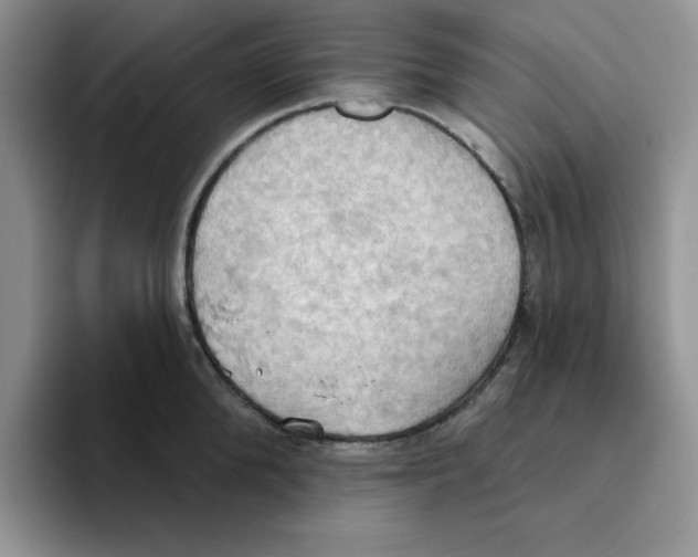 X0000093520904200711091737