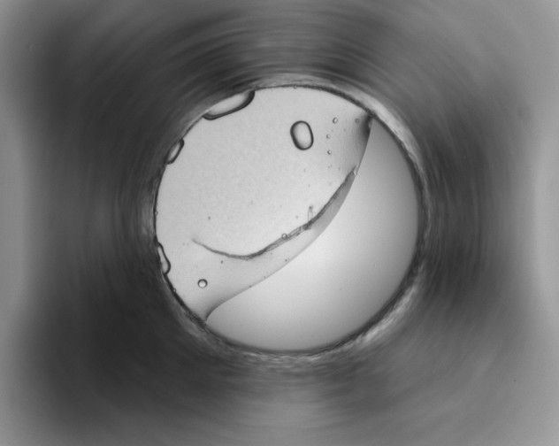 X0000093520905200711091737