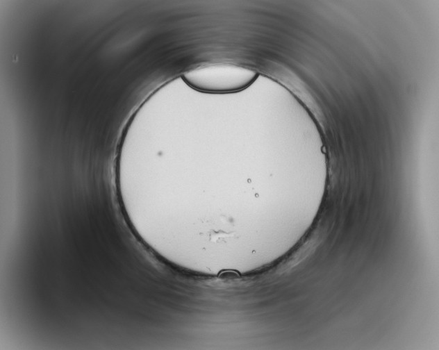 X0000093520906200711091737