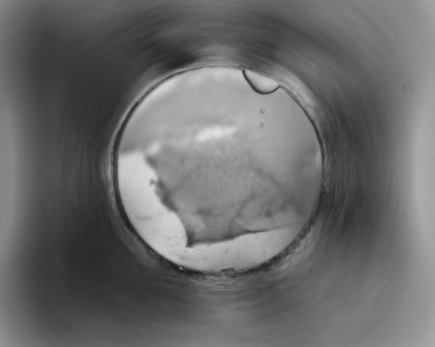 X0000093520907200711091737