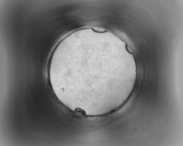 X0000093520908200711091737