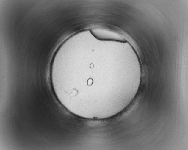 X0000093520909200711091737