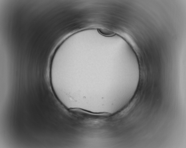 X0000093520910200711091737