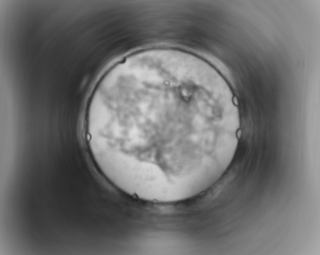 X0000093520911200711091737