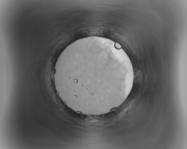 X0000093520913200711091736