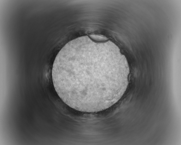 X0000093520914200711091736