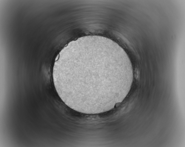 X0000093520915200711091736