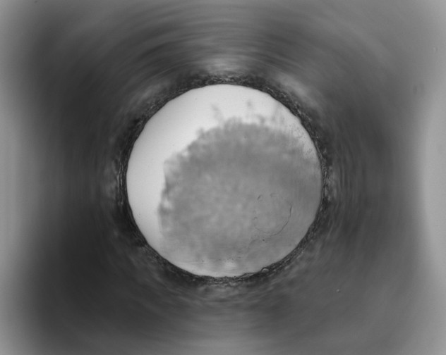 X0000093520917200711091737