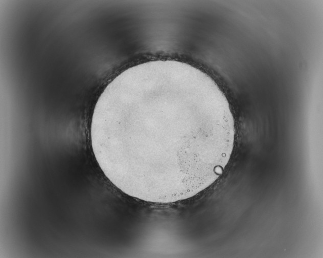 X0000093520918200711091737