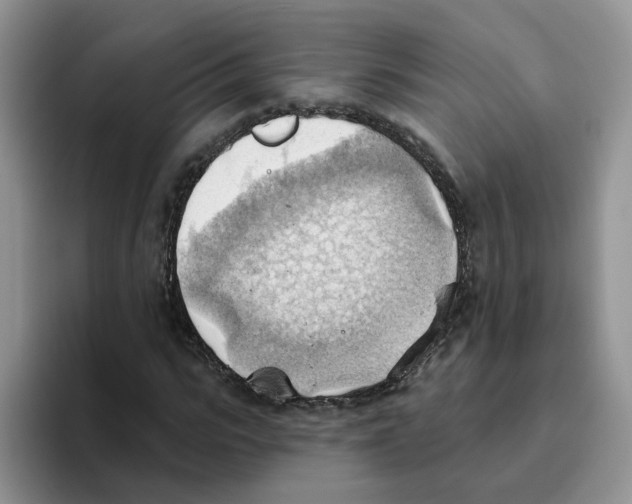 X0000093520919200711091737