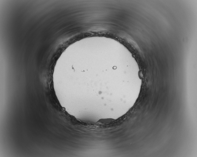 X0000093520920200711091737