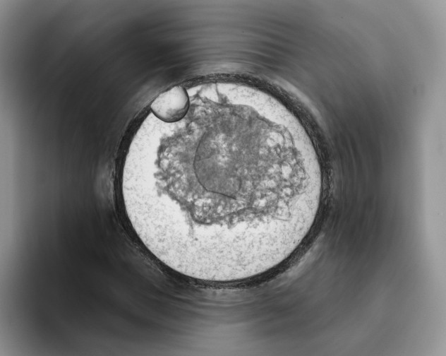 X0000093520921200711091737