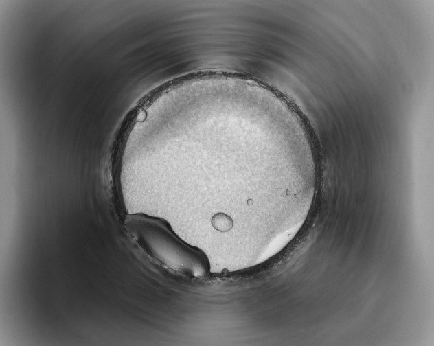 X0000093520923200711091737