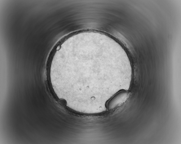 X0000093520924200711091737