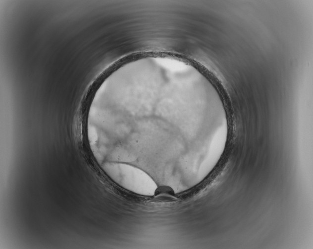 X0000093520925200711091737