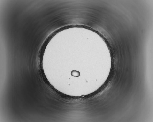 X0000093520926200711091737