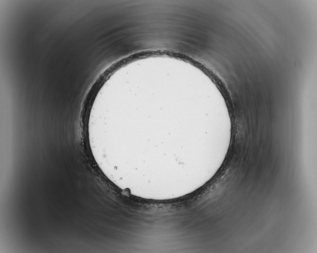 X0000093520927200711091737