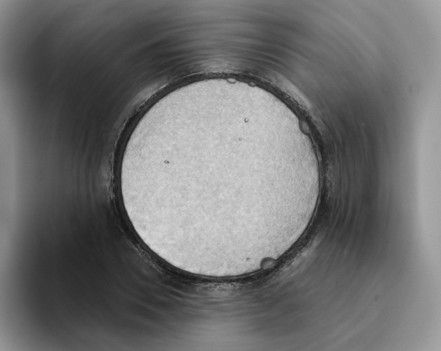 X0000093520930200711091737