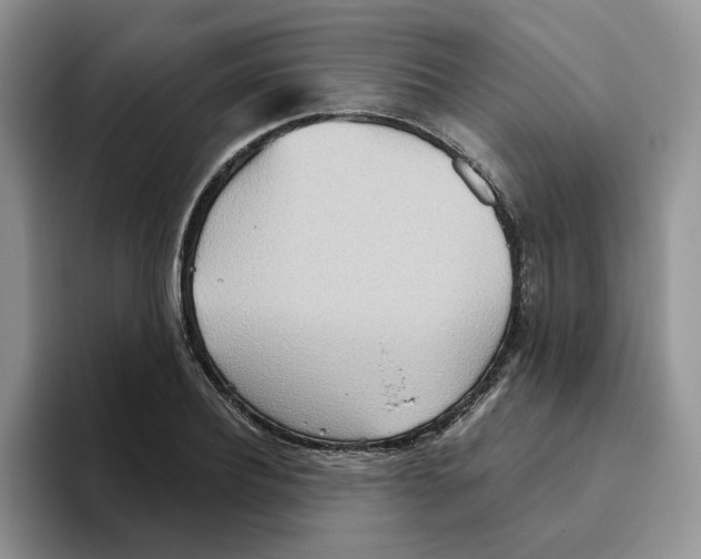 X0000093520932200711091737