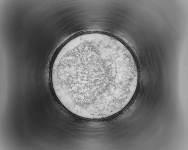 X0000093520933200711091737