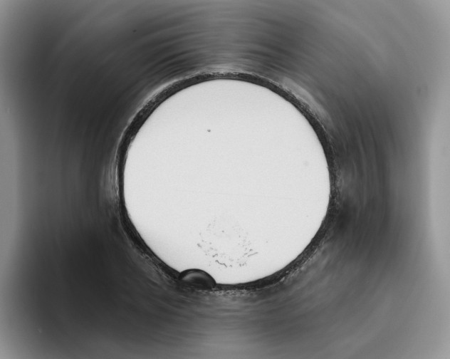 X0000093520934200711091737