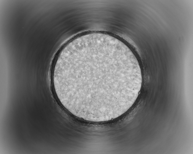 X0000093520935200711091737