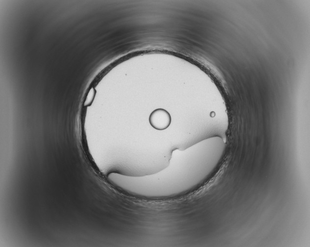 X0000093520936200711091737